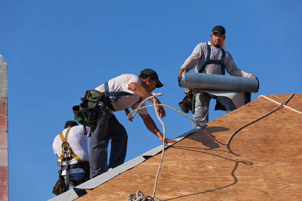 Best Local Roofing Companies  in Williston Highlands, FL
