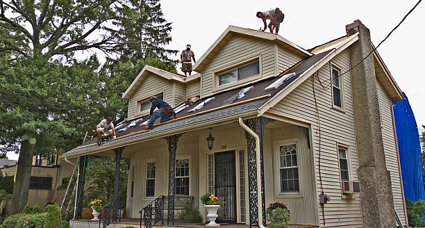 Best Residential Roofing Contractor  in Williston Highlands, FL